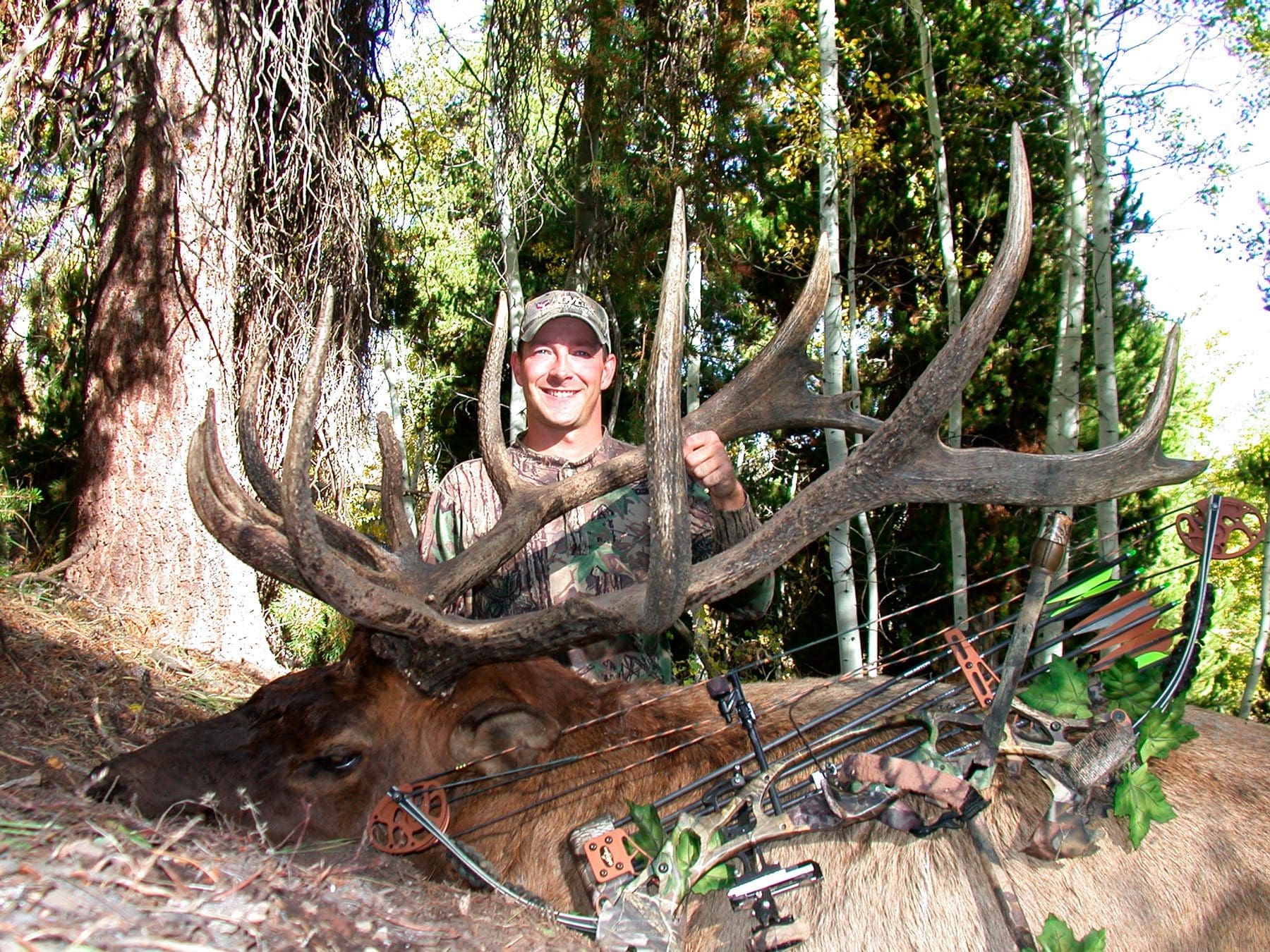 The Best Bow Sights for the Western Bowhunter