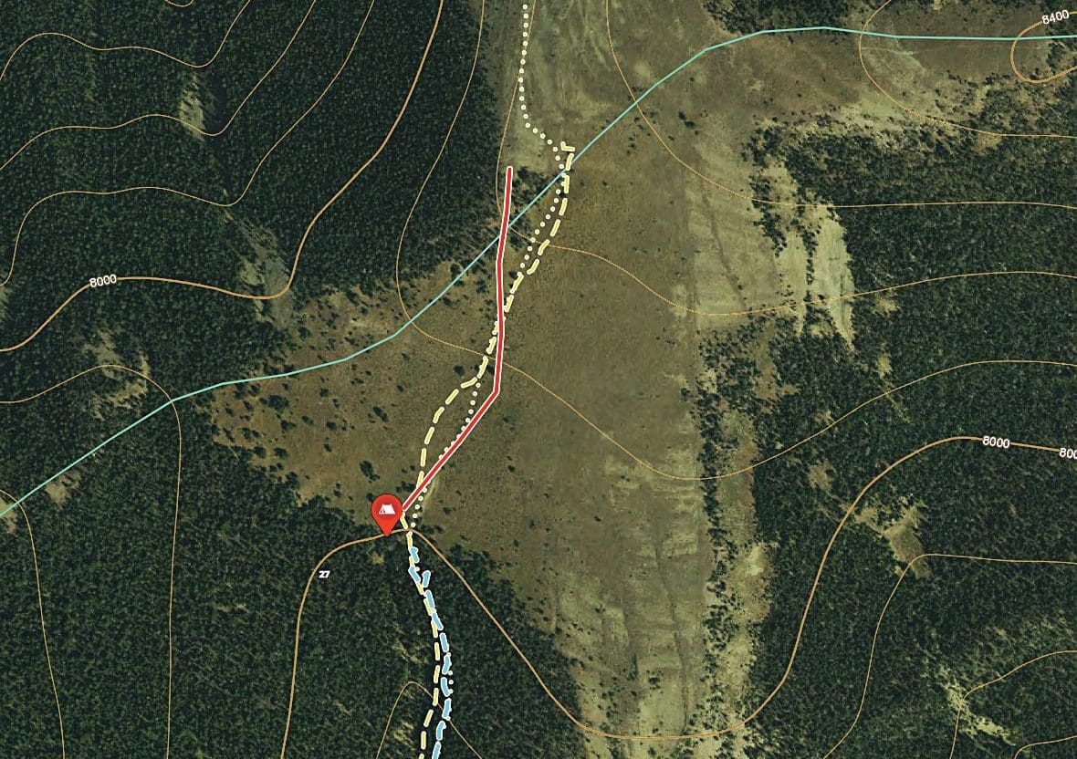 Tracks from a recent horseback hunt