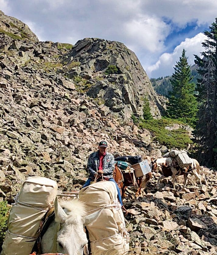 leading a string of horses into the backcountry.
