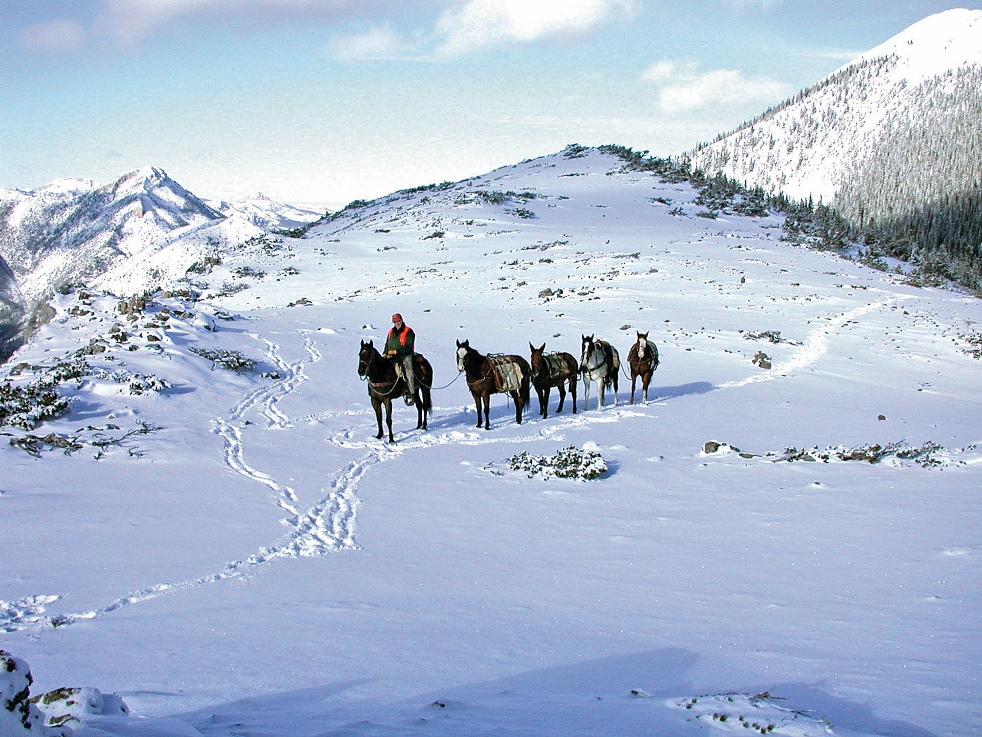 George Bettas horseback hunting in the snow.