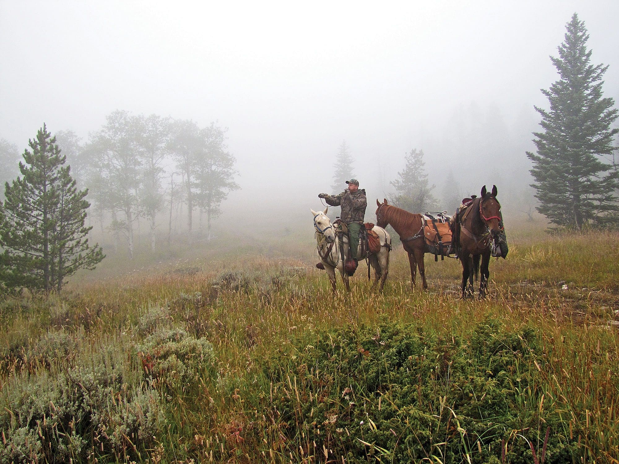 horseback hunting in the fog.