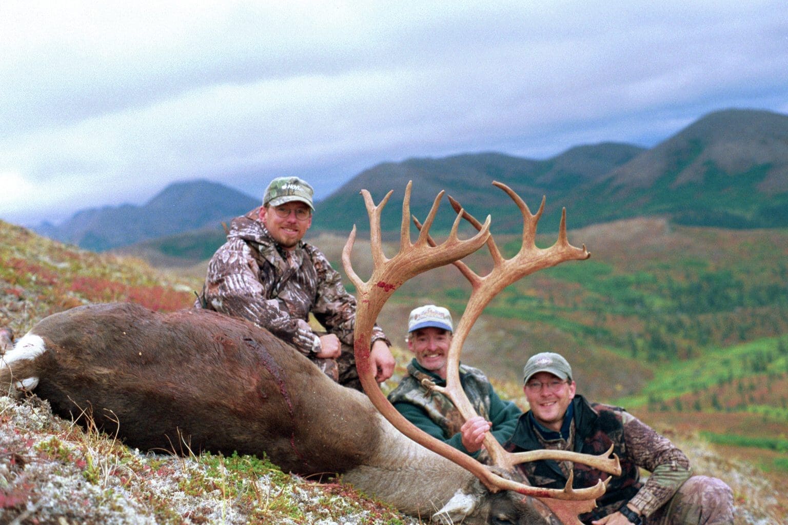 successful caribou bow hunt