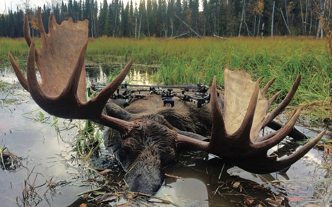 Alaska Afloat: Moose Hunt