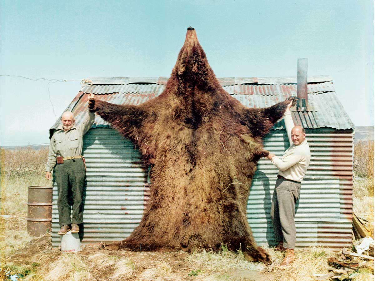 DIY Alaska Brown Bear - A River Odyssey