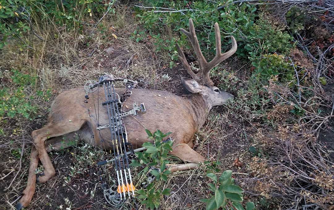 Karma Buck