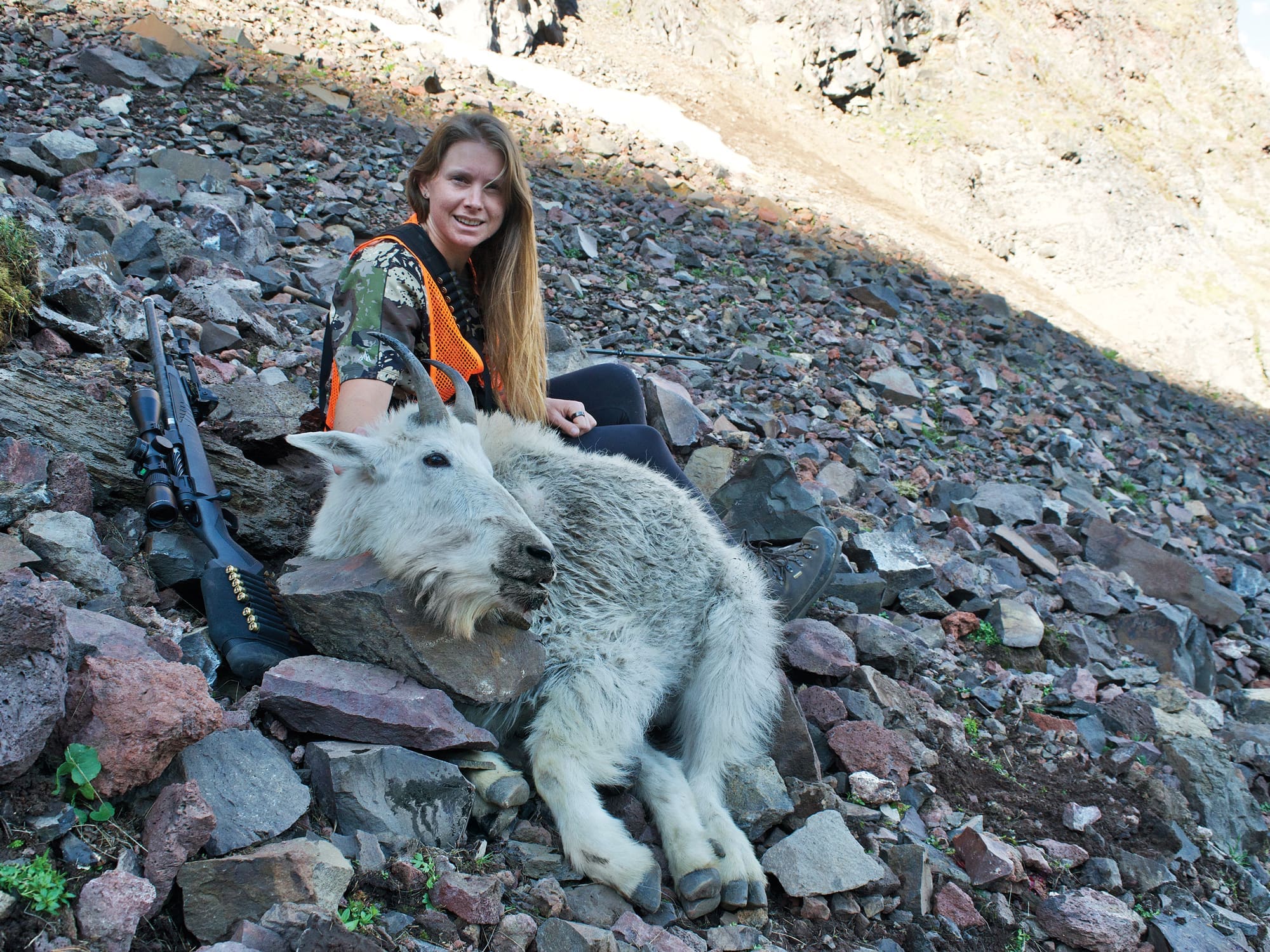 Pulling Rare Tags - Mountain Goat
