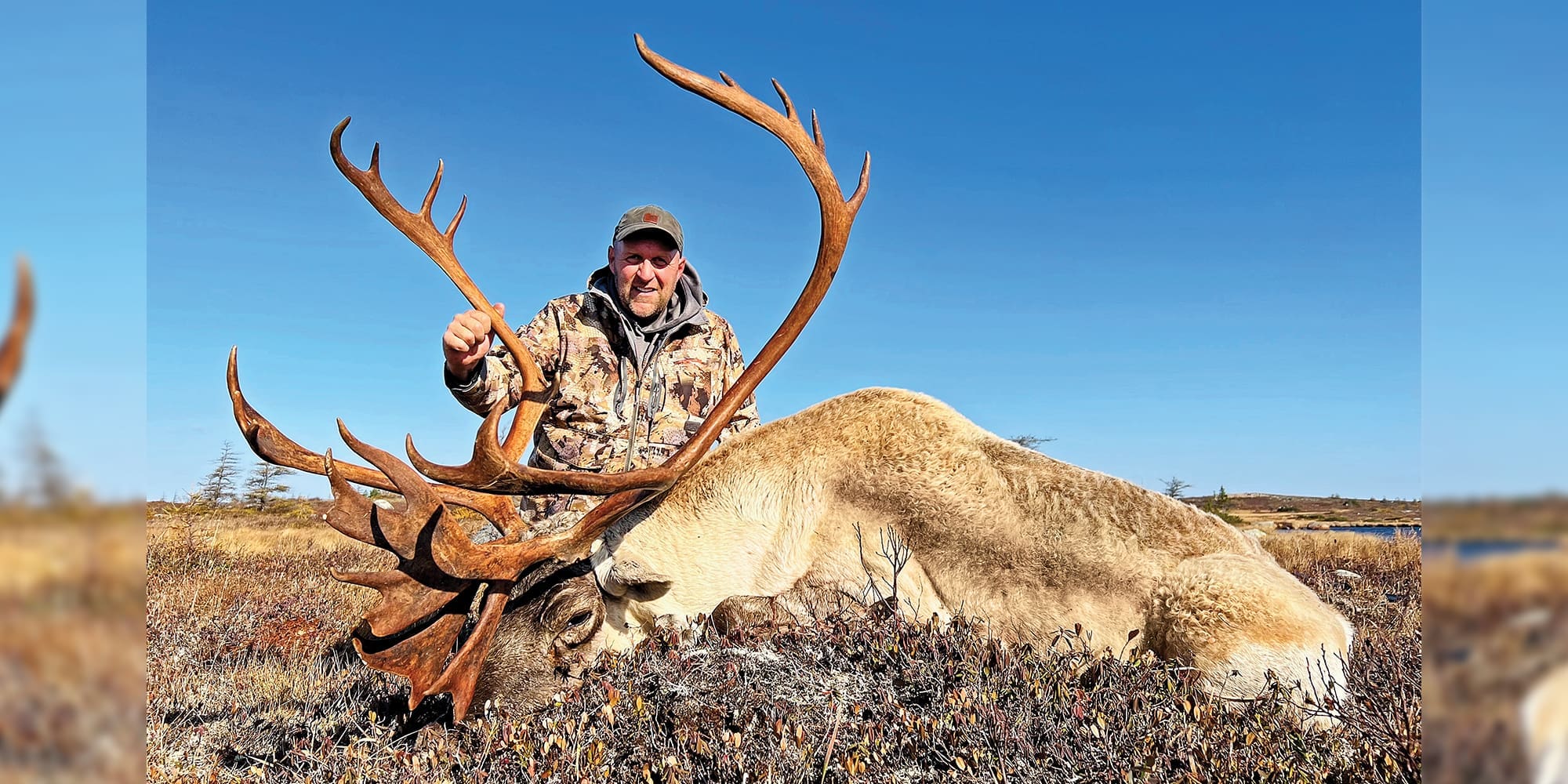 North American Super Slam – Woodland Caribou
