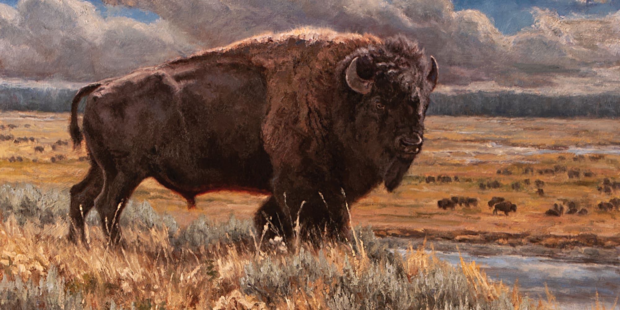 Western Hunter Featured Artist: Ryan Skidmore
